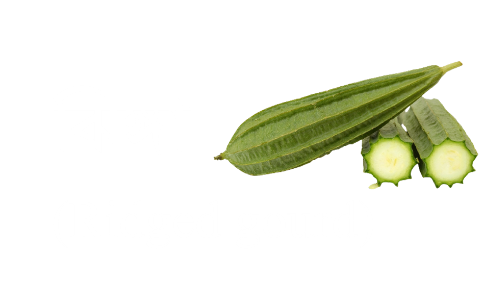 Vegetable names in English and Bengali