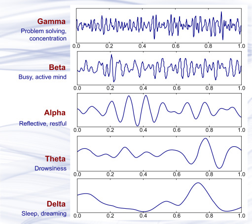 Brain wave samples with dominant frequencies belonging to beta, alpha, theta, and delta bands and gamma waves.